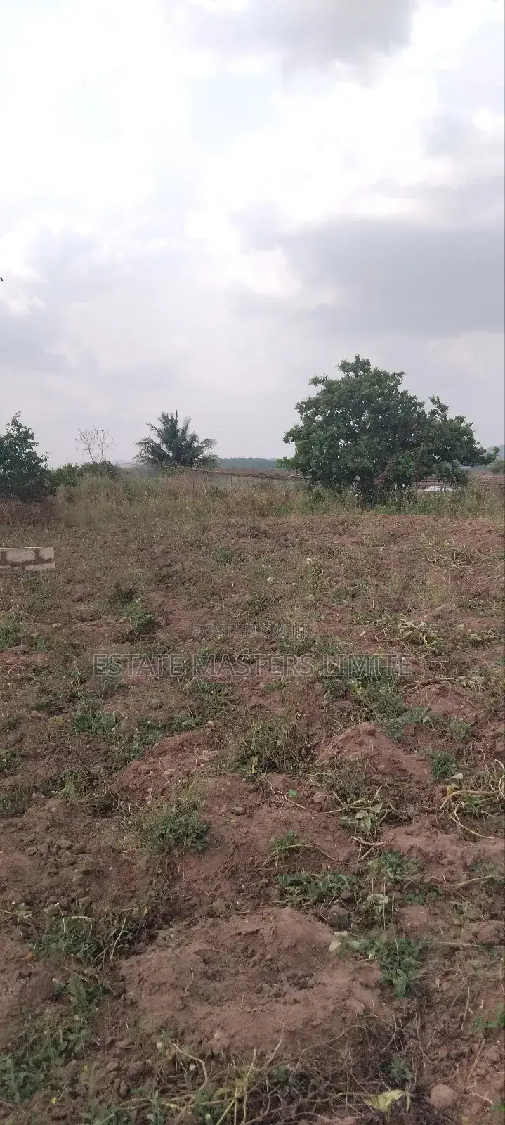 Zongo Lans for Sale