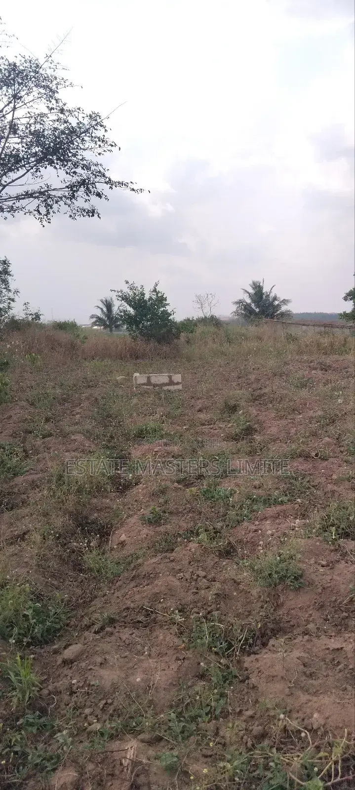 Zongo Lans for Sale