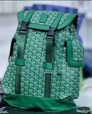 Louis Vuitton Leather Backpack