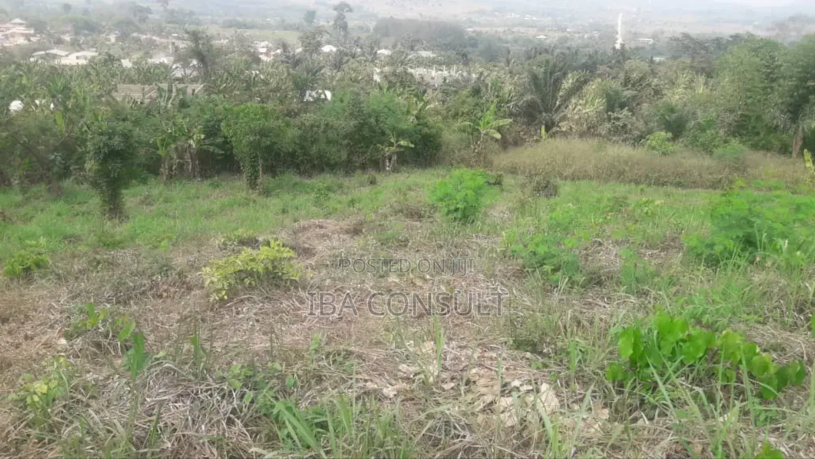 Registered 2 Acres of Residential Land at Nsawam Odeikrom for Sale