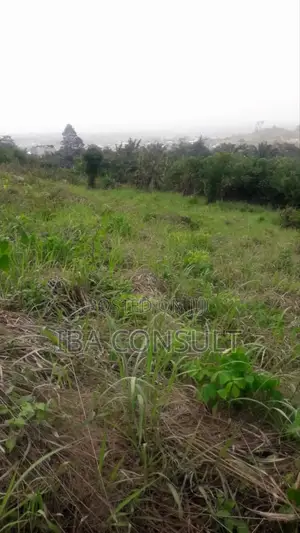 Registered 2 Acres of Residential Land at Nsawam Odeikrom for Sale