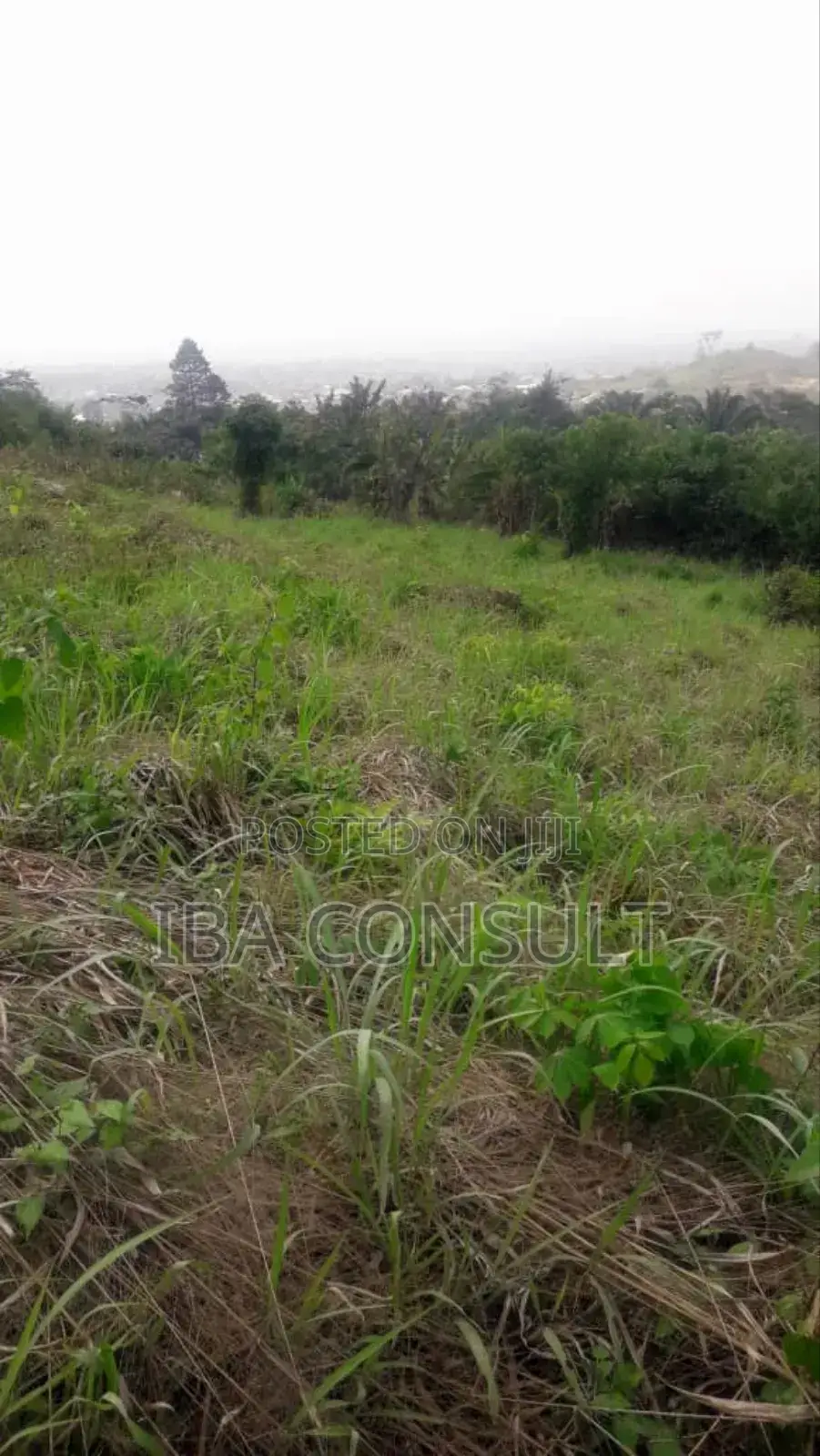 Registered 2 Acres of Residential Land at Nsawam Odeikrom for Sale