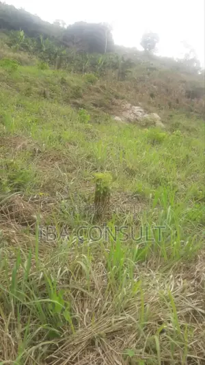 Registered 2 Acres of Residential Land at Nsawam Odeikrom for Sale