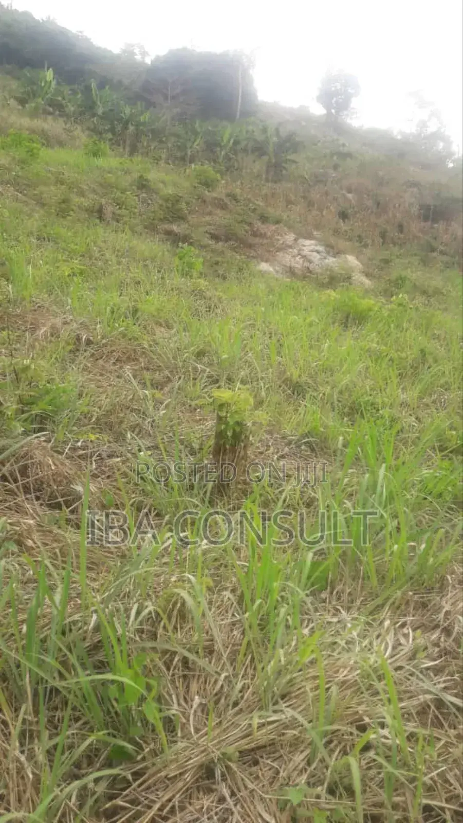 Registered 2 Acres of Residential Land at Nsawam Odeikrom for Sale