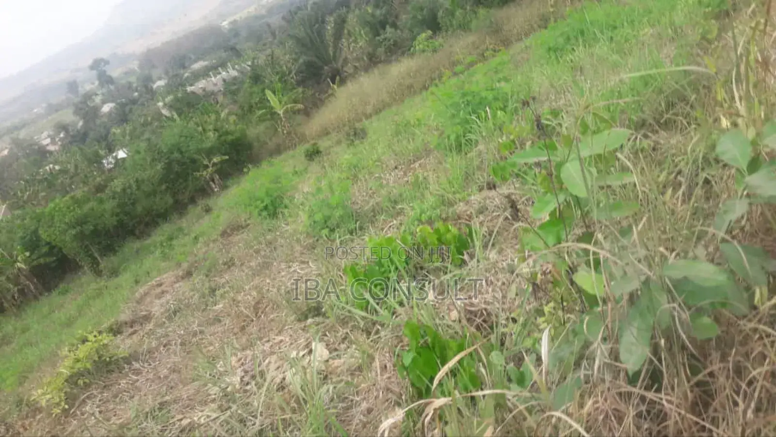 Registered 2 Acres of Residential Land at Nsawam Odeikrom for Sale