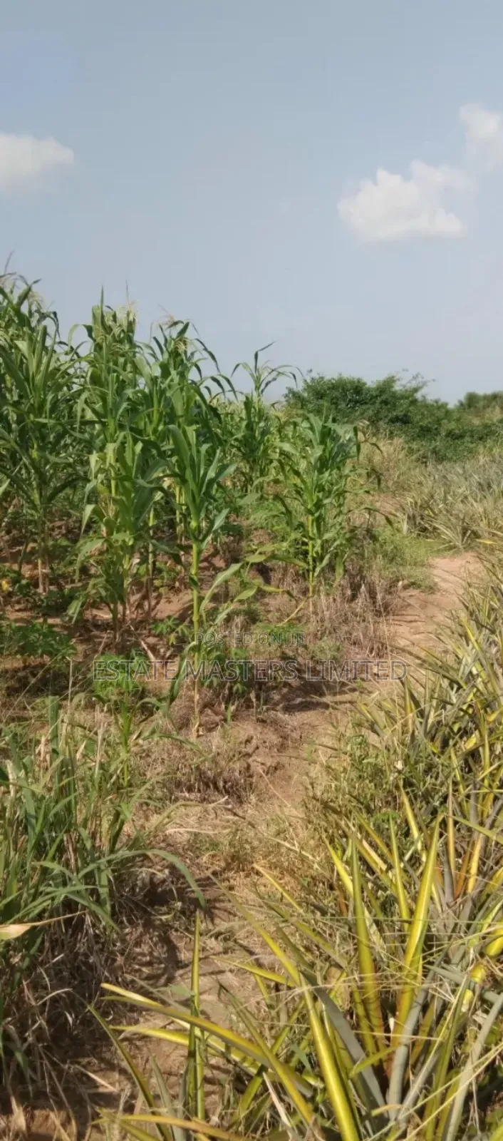 Budget Friendly Estate Land in a Prime Location