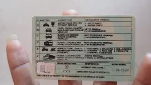 Renew Your Driver's Licence