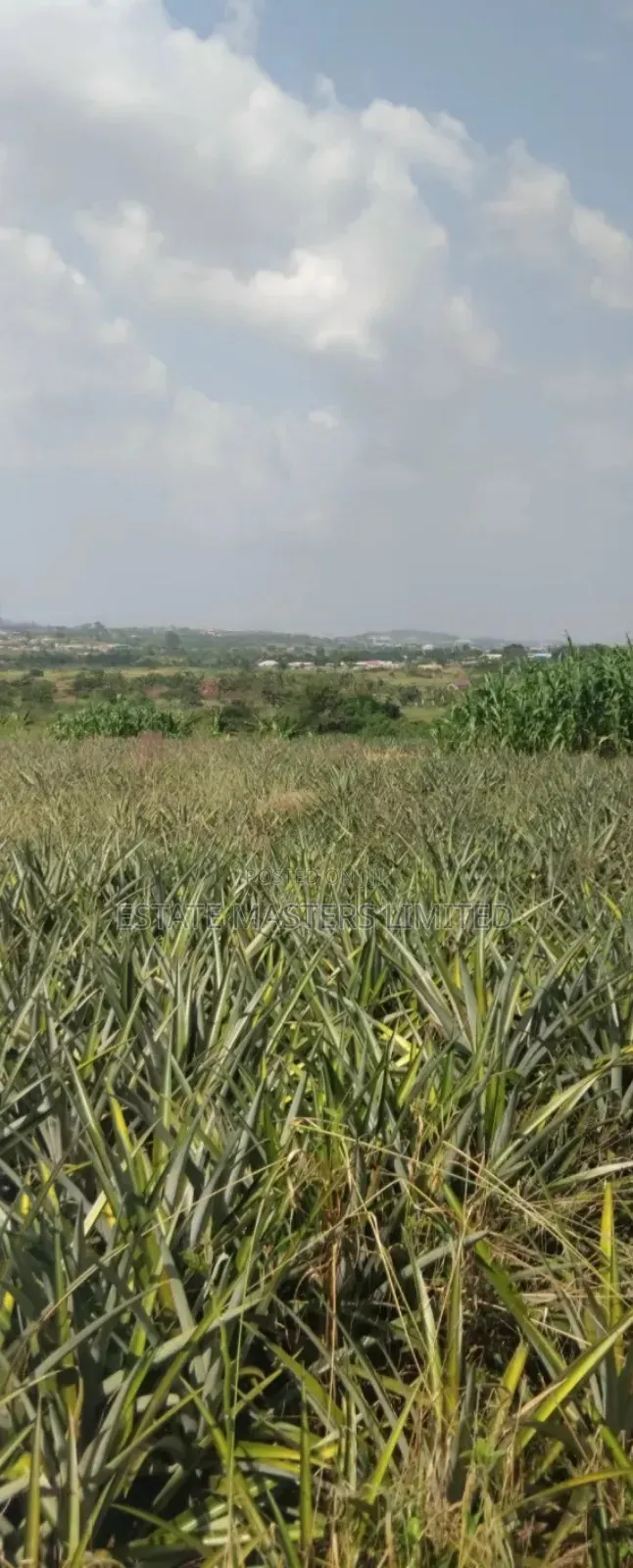 Where Dreams Begin, Own an Estate Land Today, Dominase