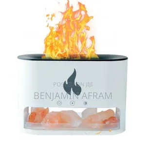 Flames Salt Aroma Diffuser Air Freshener