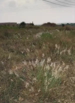 High Land for Sale