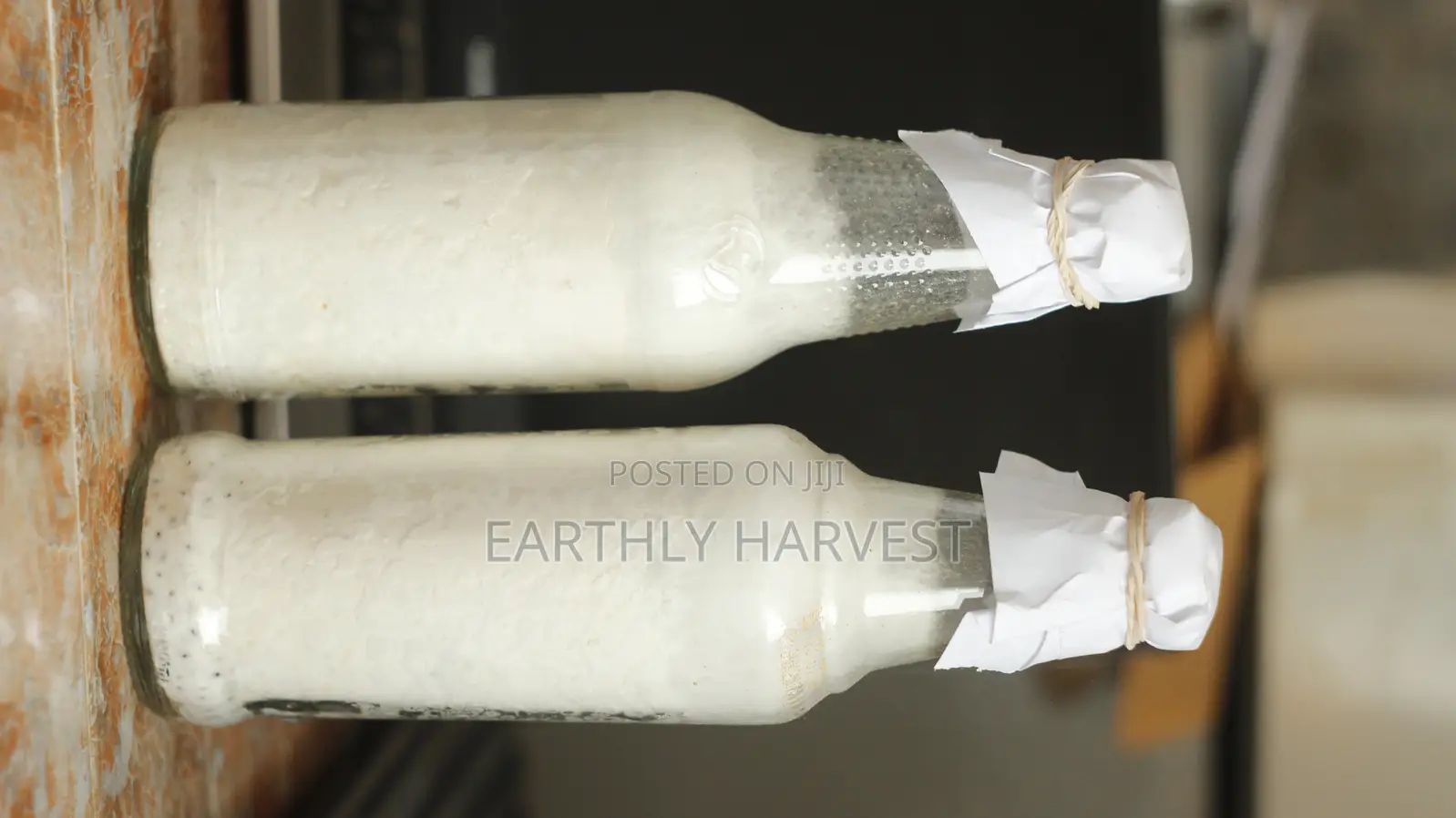 Pearl Oyster Mushroom Spawn