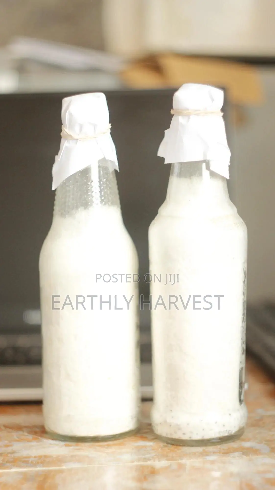 Pearl Oyster Mushroom Spawn