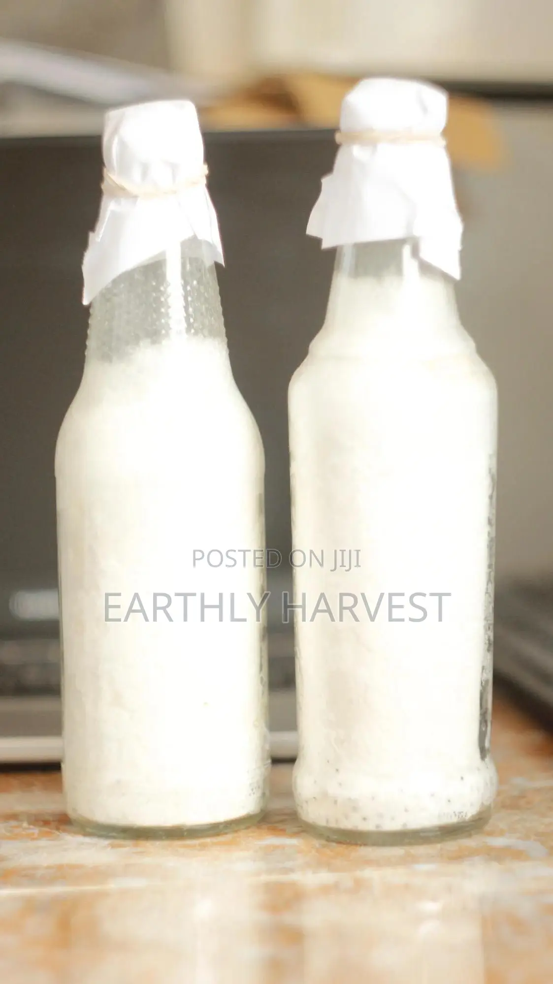 Pearl Oyster Mushroom Spawn