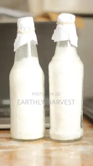 Pearl Oyster Mushroom Spawn