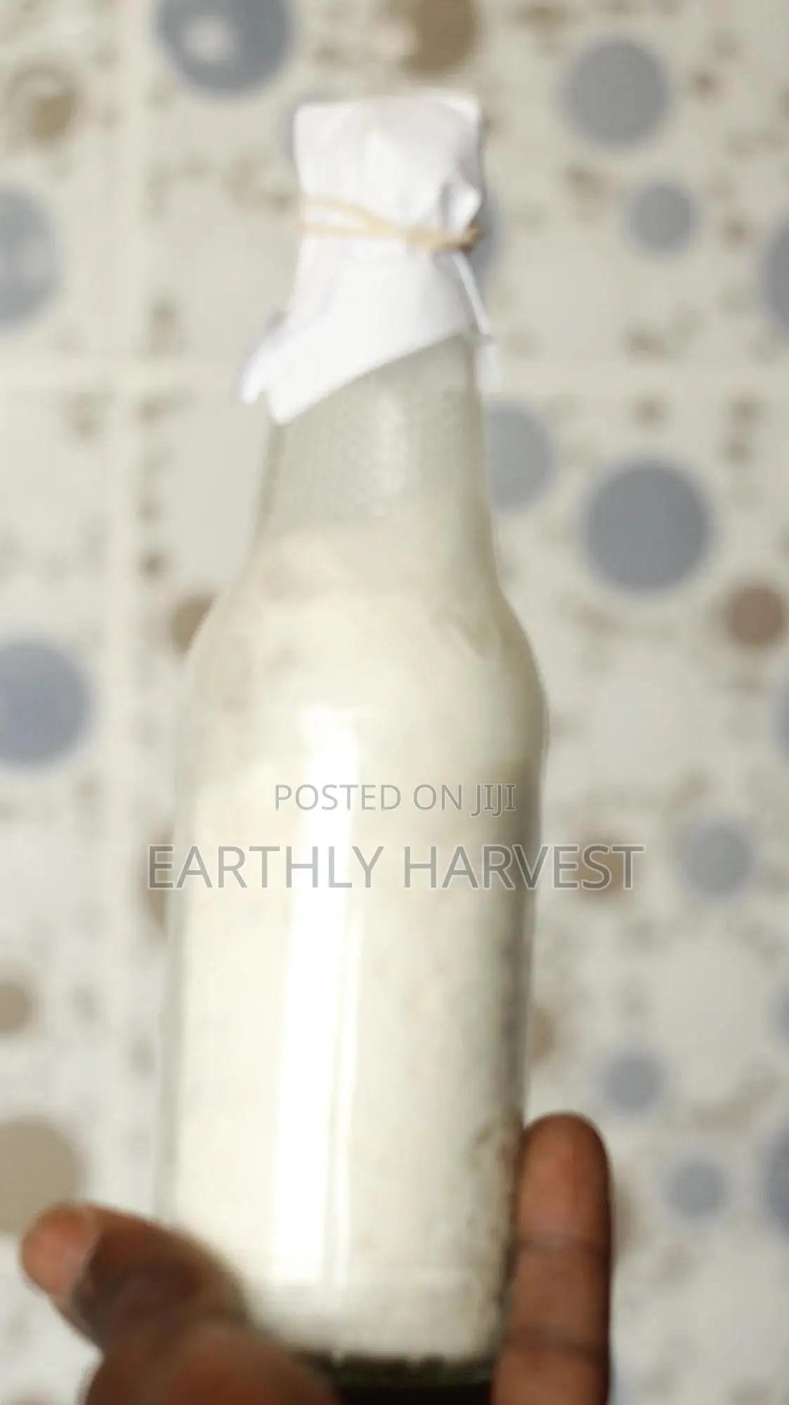 Pearl Oyster Mushroom Spawn