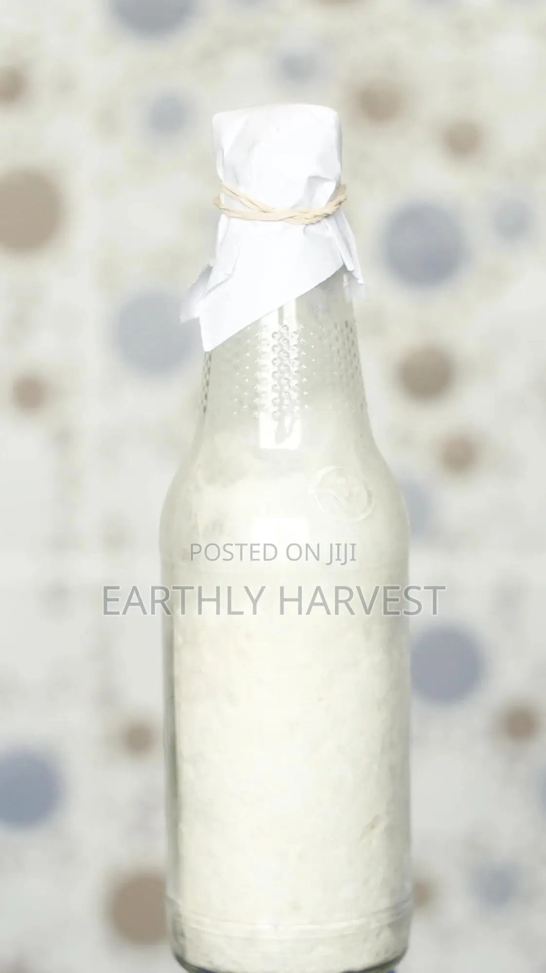 Pearl Oyster Mushroom Spawn