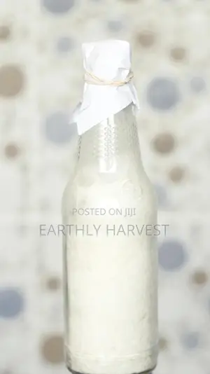 Pearl Oyster Mushroom Spawn