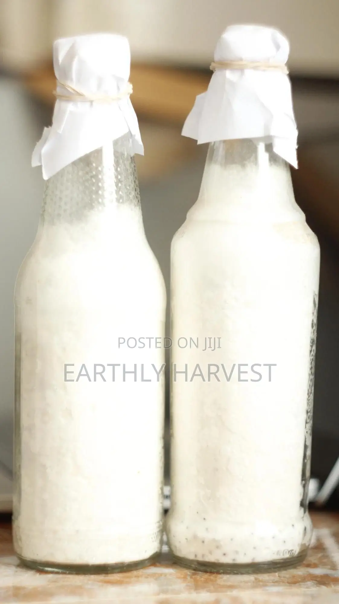 Pearl Oyster Mushroom Spawn