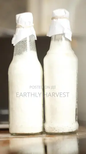 Pearl Oyster Mushroom Spawn