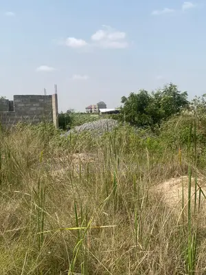 Afienya Lands With No Landguards