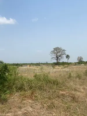 Affordable Estate Lands Within Afienya