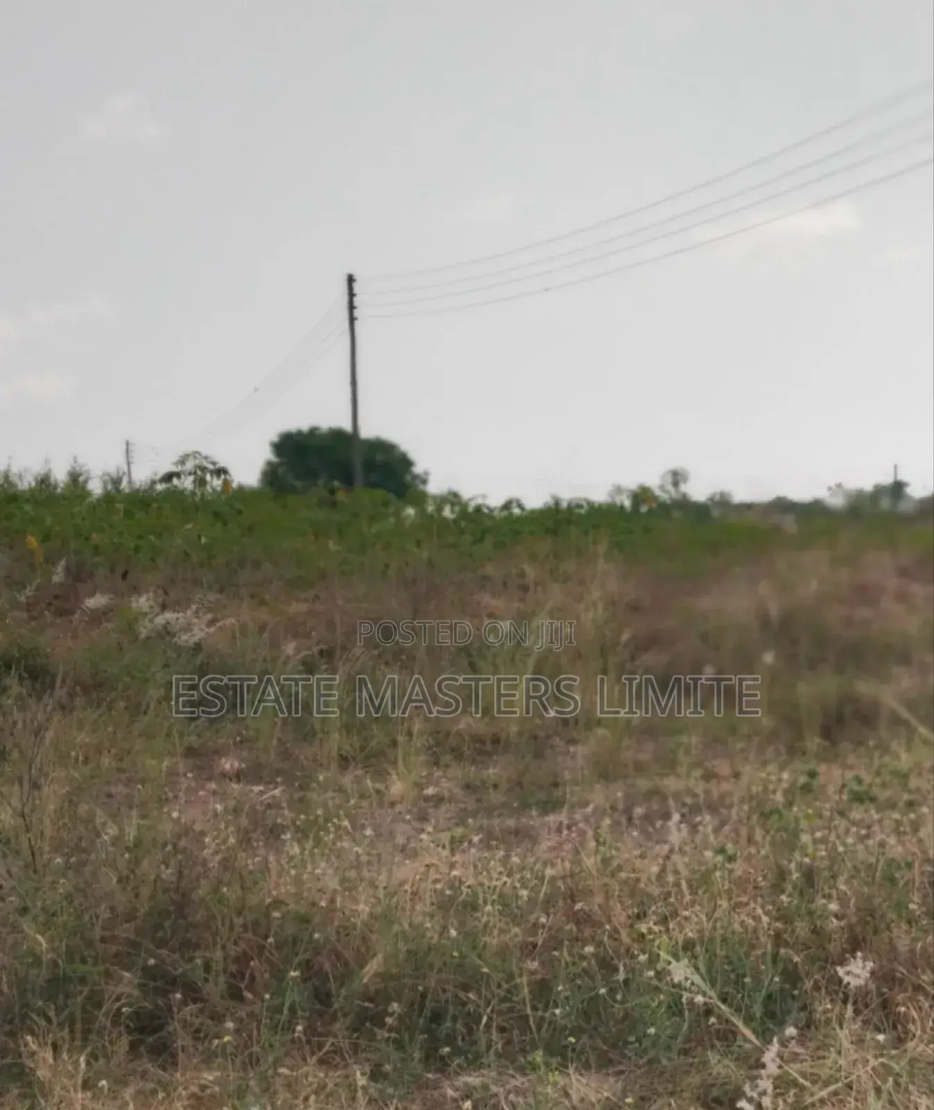 Your Dream Land Await Take a First to Buy a Land