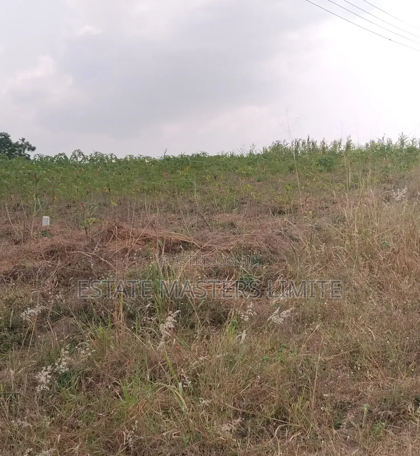 Your Dream Land Await Take a First to Buy a Land