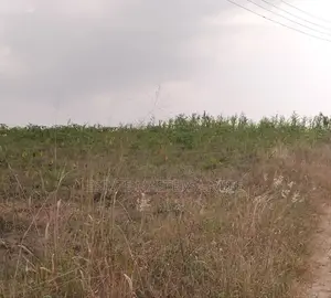 Make Your Mark :Buy Land Now