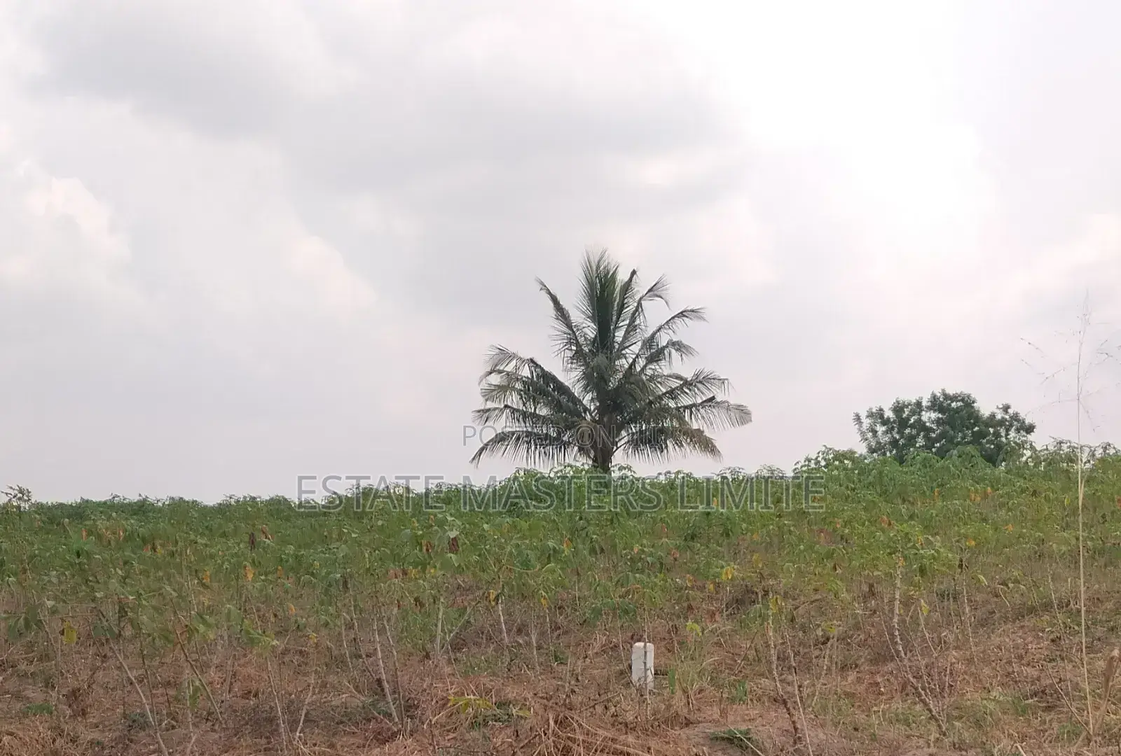 Make Your Mark :Buy Land Now