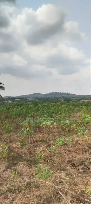 Your Dream Land Await: Buy Now