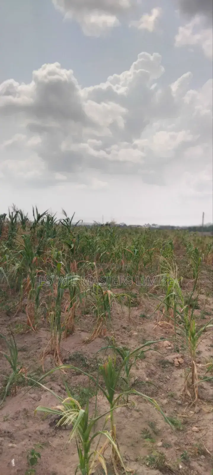 Your Dream Land Await: Buy Now