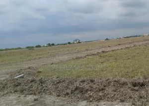 Room to Grow, Space to Thrive, Buy Estate Land Now,"Tsopoli