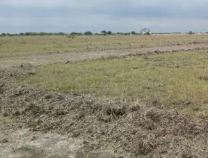 Room to Grow, Space to Thrive, Buy Estate Land Now,"Tsopoli