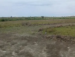 Step to Serenity, Own an Estate Land Surrounded by Nature.