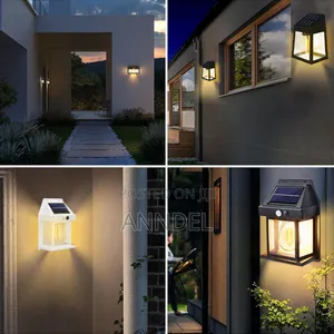 Solar Induction Lamp
