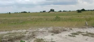 Land That Fit Your Budget and Dreams, "Tsopoli