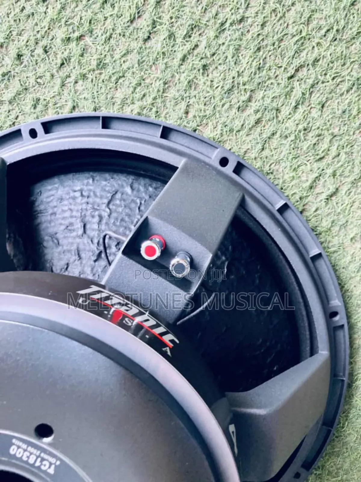 Gls 18inches 2500watt Naked Speakers