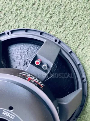 Gls 18inches 2500watt Naked Speakers