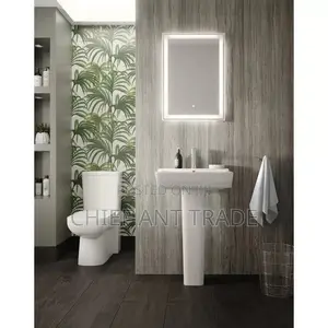 Basin With Pedestal. 05