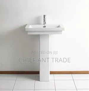Basin With Pedestal. 05