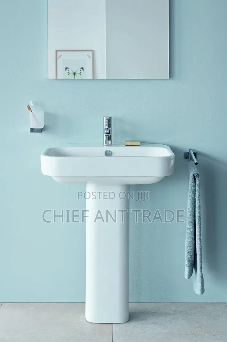 Basin With Pedestal. 05