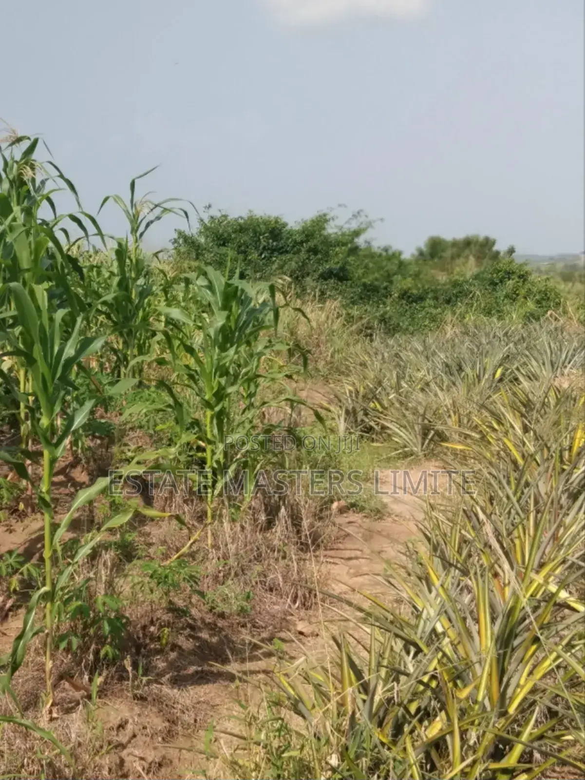 Get Long Time Property Associations Buy Your Land Now