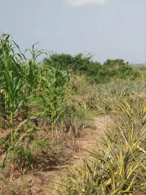 Get Long Time Property Associations Buy Your Land Now
