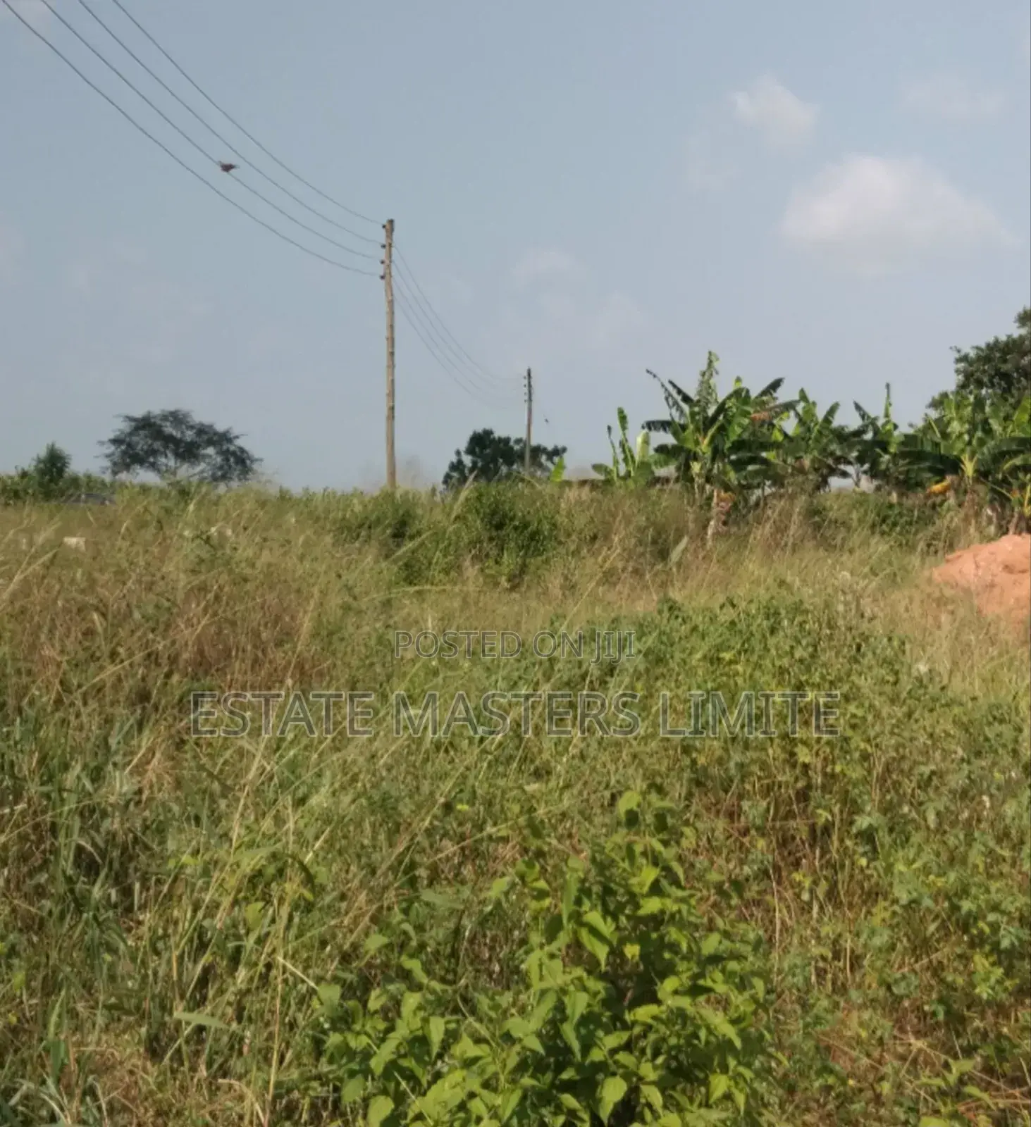 Mountain Retreat Land for Sale With Panoramic View