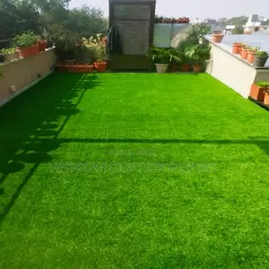 Carpet Rental Services