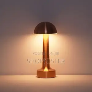 USB Metal Rechargeable Touch Point Lamp