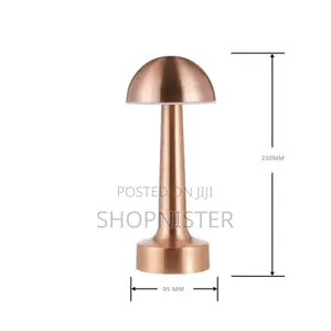 USB Metal Rechargeable Touch Point Lamp