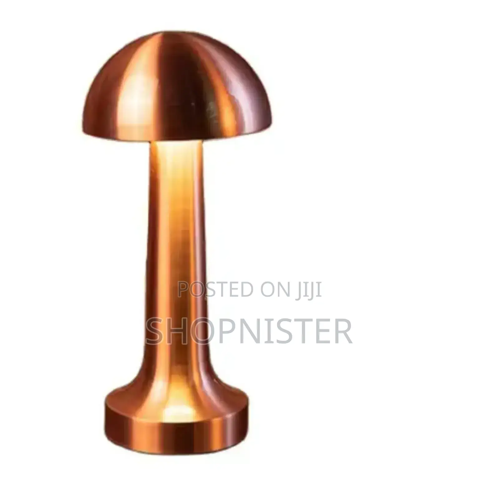 USB Metal Rechargeable Touch Point Lamp