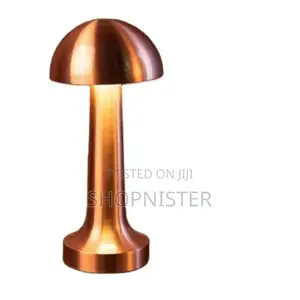 USB Metal Rechargeable Touch Point Lamp