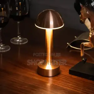 USB Metal Rechargeable Touch Point Lamp